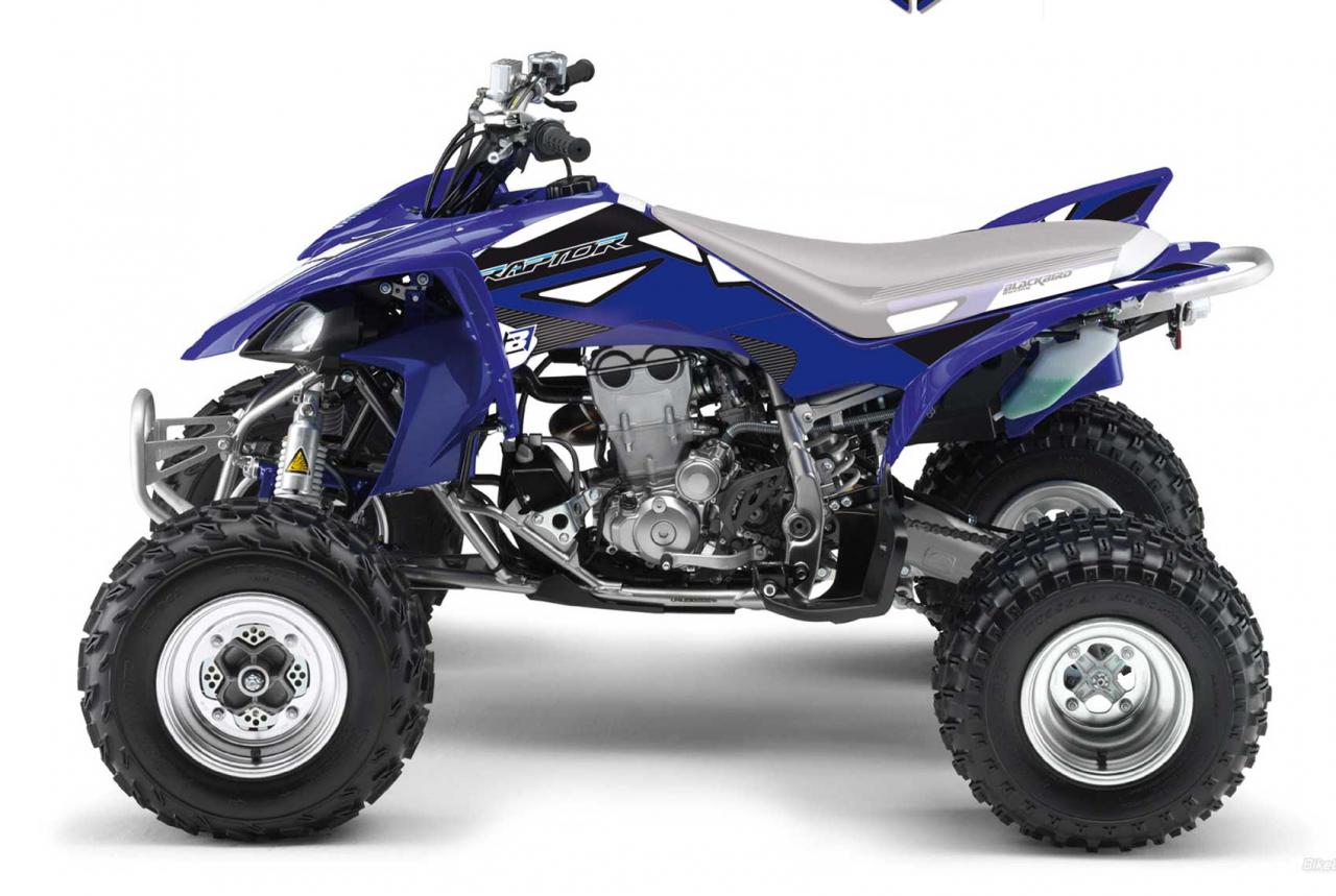 Yamaha YFM 660 (yamaha yfm 660 raptor)